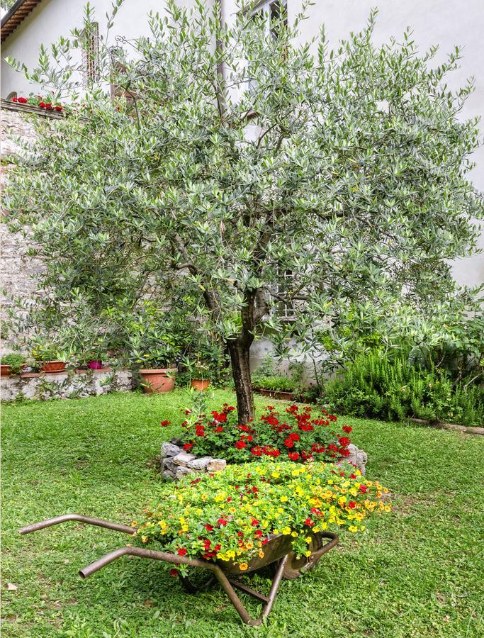 Hotel Casa Diocesana Di Lucca Eksteriør billede
